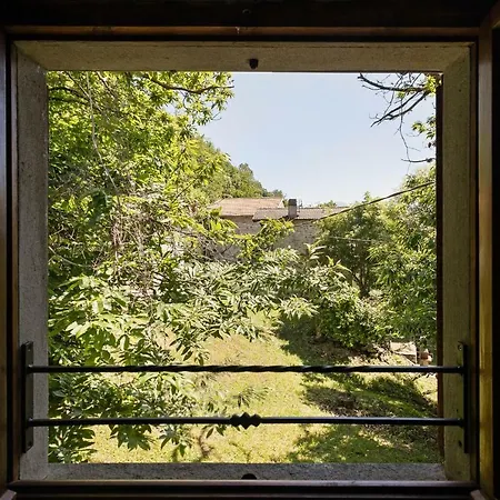 Green Valley At Lake Como *